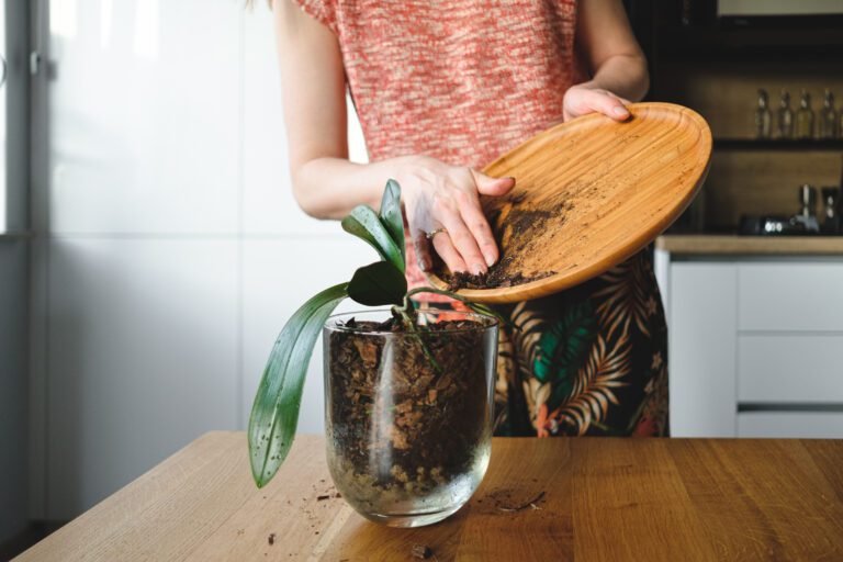 Compost in Small Apartments Without Smell