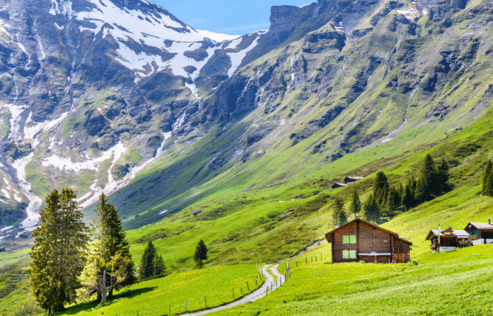 Mexico and Switzerland players lined up before kickoff in an international match