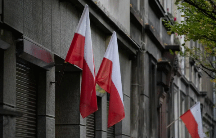 Digital finance network showing modern market influence of Lorelei Frygier